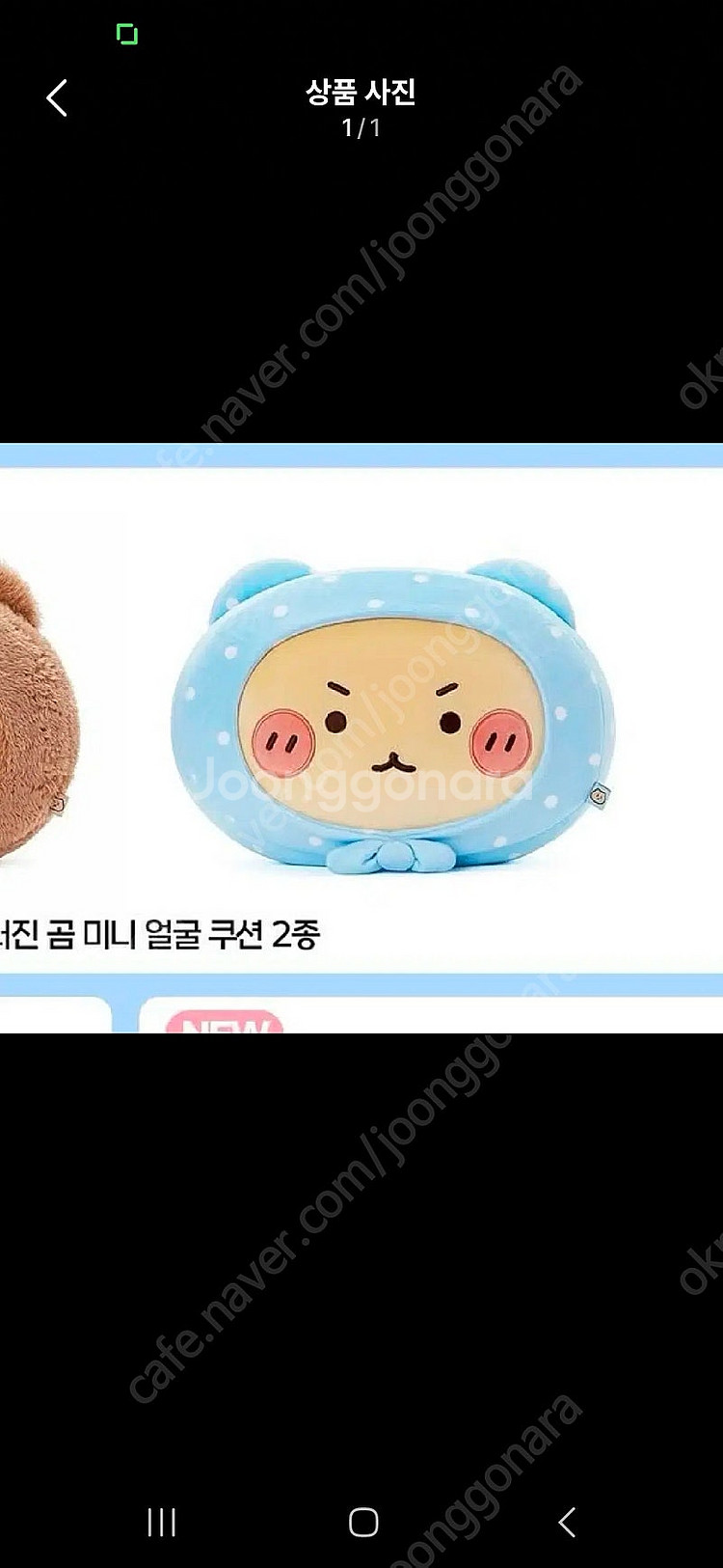망그러진 곰 쿠션 구매해요--0