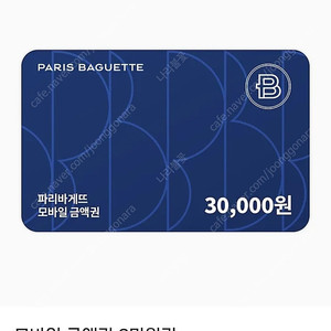 파리바게트 3만원 금액권