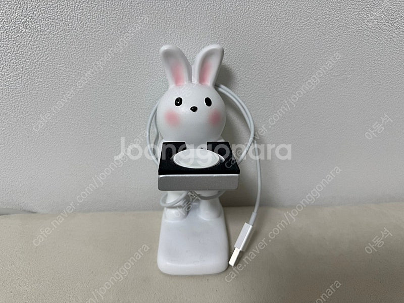 애플워치 애플 정품 케이블 애플워치 C타입--4