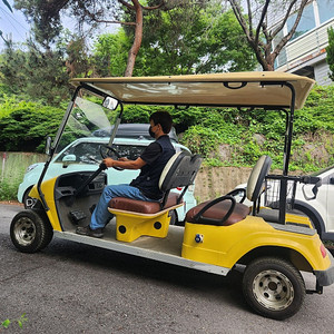 5인승 전동차 골프카트 전기운반차 전동작업차 전기트럭 배터리카 전동화물운반차 농용운반차 효도선물