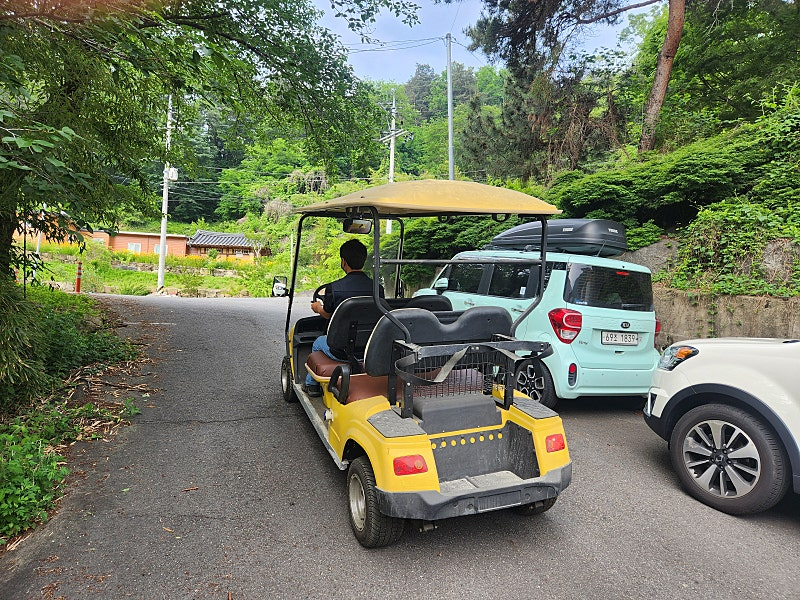 5인승 전동차 골프카트 전기운반차 전동작업차 전기트럭 배터리카 전동화물운반차 농용운반차 효도선물 이미지