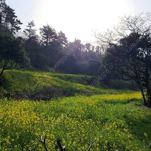 스벅 프리퀀시 일반 개당 600원 8개 팝니다.