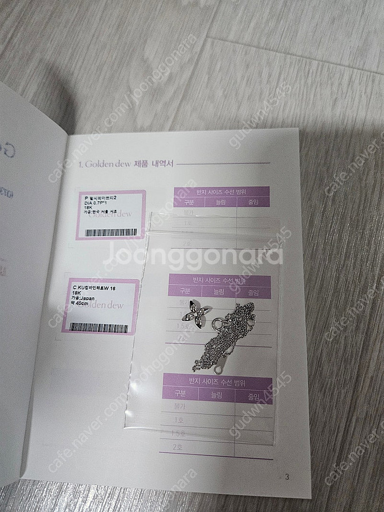 골든듀 펄시피아 쁘띠 화골--1