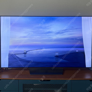 LG 올레드 65인치 TV