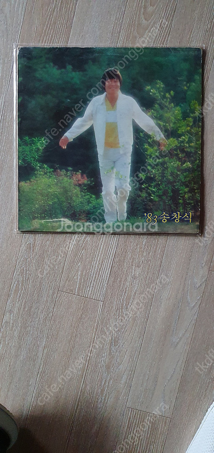 LP 국네가오--5