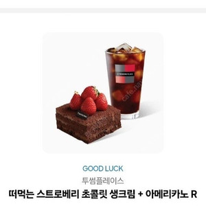 투썸플레이스 떠먹는스트로베리초콜릿 생크림+아메리카노R 세트
