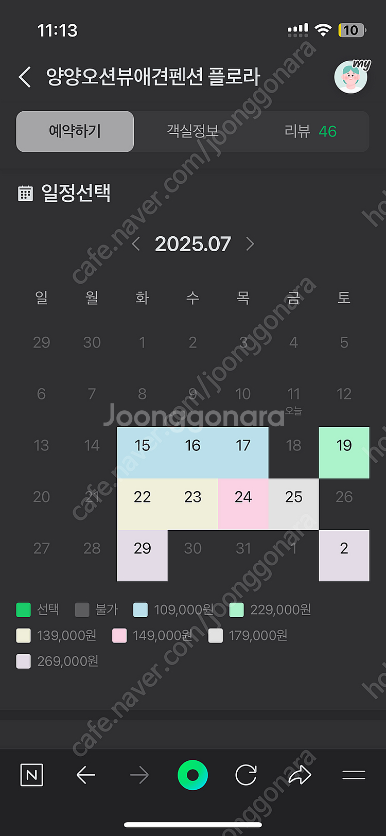 양양 멍비치 애견 펜션 플로라 7/13(일)-7/14(...--1