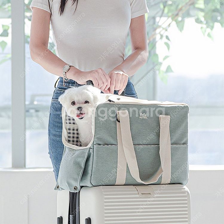 펫테일 마카롱 강아지 고양이 이동가방(안사면 후회해요~...--0