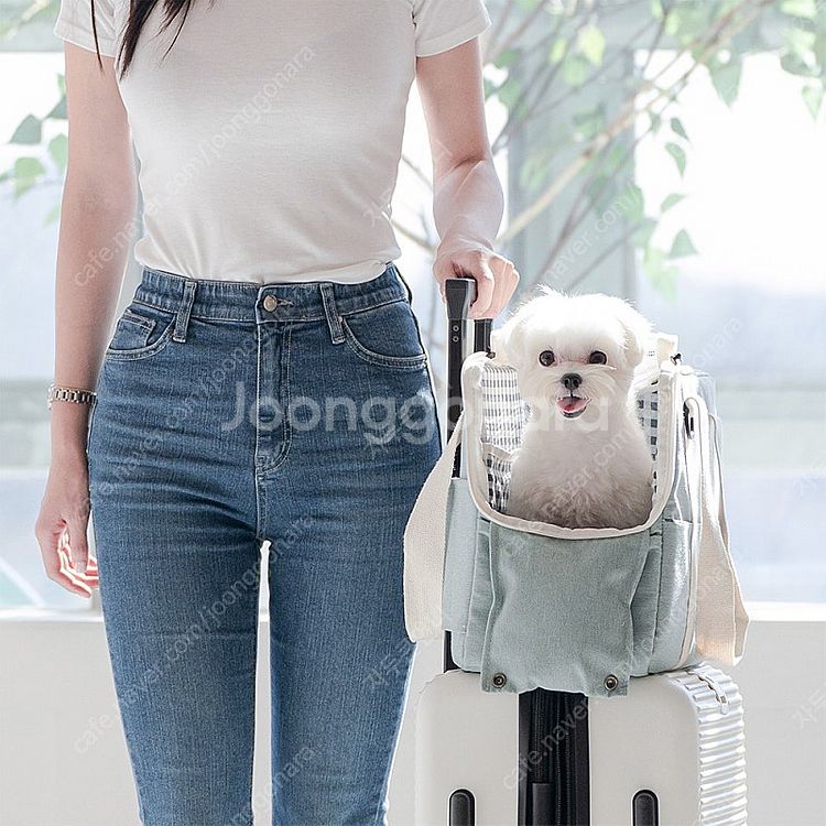 펫테일 마카롱 강아지 고양이 이동가방(안사면 후회해요~...--3