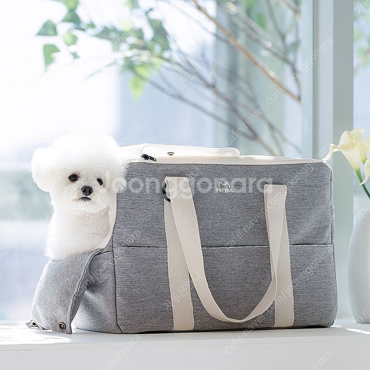 펫테일 마카롱 강아지 고양이 이동가방(안사면 후회해요~...--4
