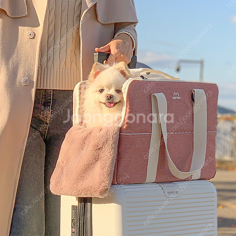 펫테일 마카롱 강아지 고양이 이동가방(안사면 후회해요~...--8