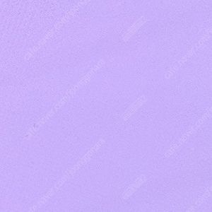 던스 사기 피의자 제보 해주세요 유x은