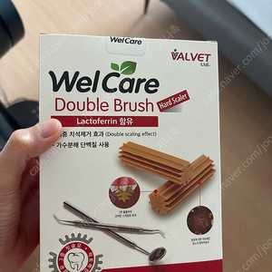 웰케어 더블브러쉬