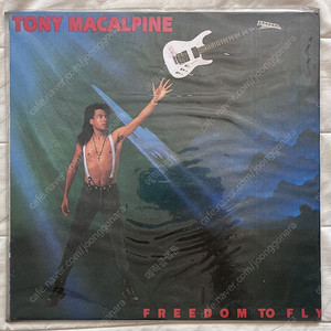 [미개봉] 토니 맥칼파인 tony tony macalpine