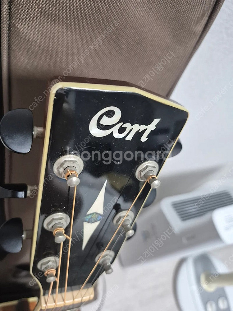 콜트(Cort) 통기타 팝니다!--3