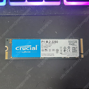 마이크론 Crucial P1 M.2 NVMe SSD (500GB)