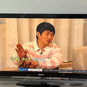 소니 브라반티아 46인치 LCD