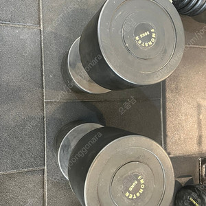 중고덤벨 25KG,30KG,50KG 판매