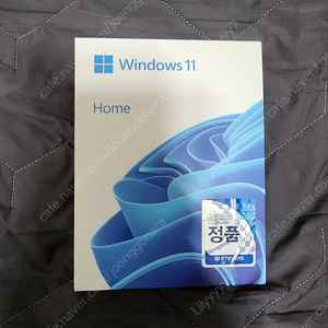 윈도우11 처음사용자용 정품 USB (Windows 11)