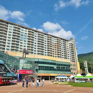 강원 횡성 웰리힐리파크 여름특성수기 콘도 양도!!