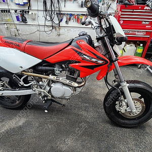 혼다 Xr100
