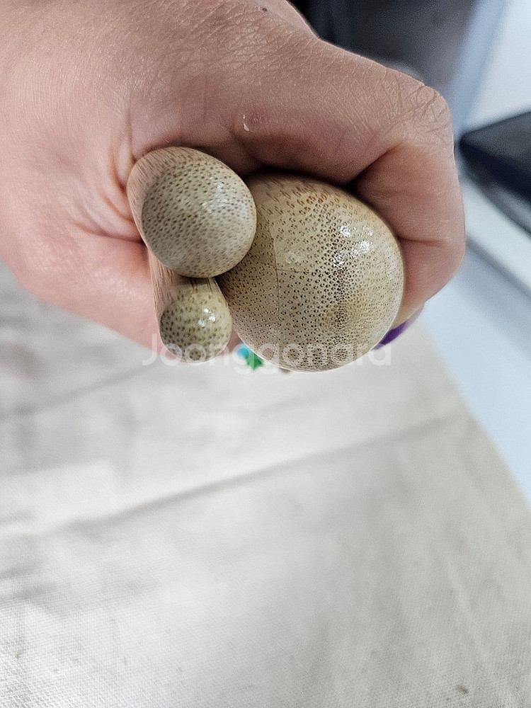 뱀부마사지스틱 온열 뱀부테라피 스틱 3종--1