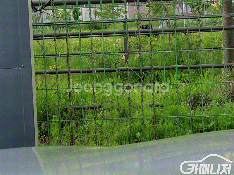 [BMW]5시리즈 (F10) 528i (5인승) 201...--7