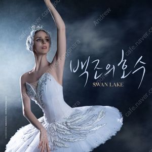 2025 7/25(금), 7/26(토) 예술의전당 & 유니버설발레단 <백조의 호수> 공연 R석 2연석, 1자