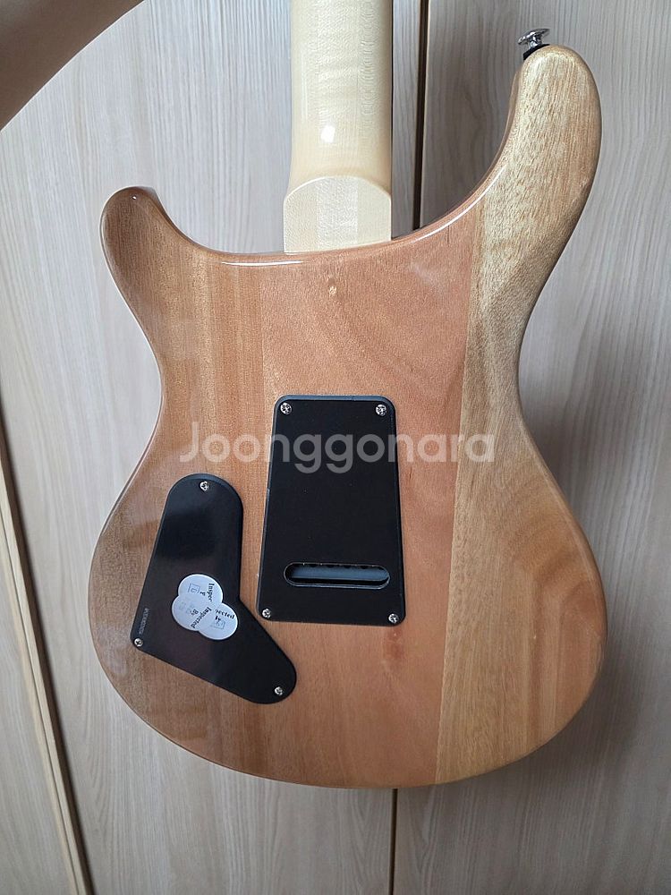 PRS SE 2024 Custom 24 LTD blue...--2