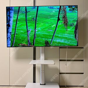 LG OLED55B7F 55인치 OLED TV (25.06 패널 교체)