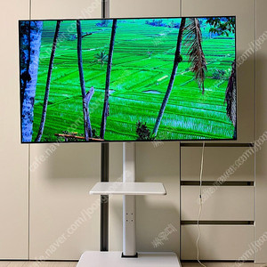 LG OLED55B7F 55인치 OLED TV (25.06 패널 교체)