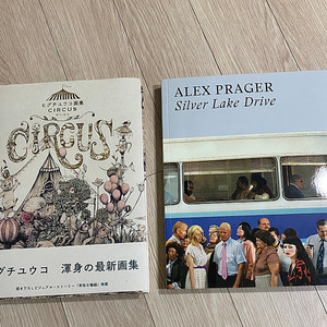 유코 히구치 , alex prager 사진집 일괄