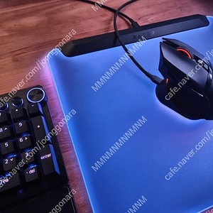 레이저 바실리스크 V3 프로 RAZER Razer Basilisk V3 Pro