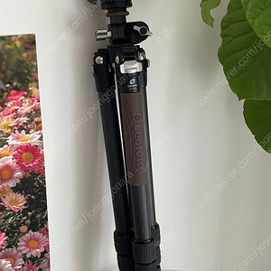 레오포토 삼각대 ls-284cvl + lh-30r + np50 풀세트, 항공샷