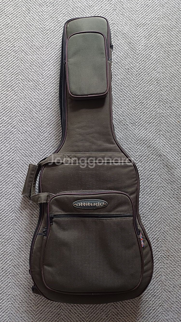 Swing EZ-100 일렉기타 세트로 팝니다.--7