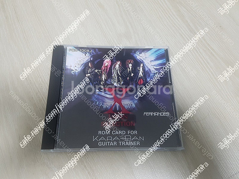 X JAPAN(엑스재팬)기타 연주용 롬카드 5만원판매--0
