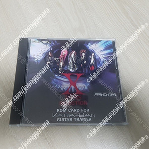 X JAPAN(엑스재팬)기타 연주용 롬카드 5만원판매
