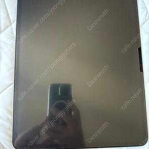 아이패드 프로 M4 13 셀룰러 256GB