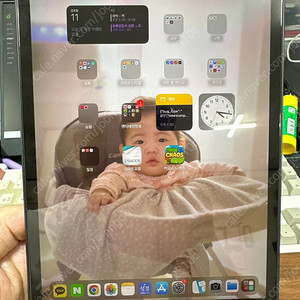 아이패드 미니5 셀룰러 256GB 스페이스 그레이 (파손)