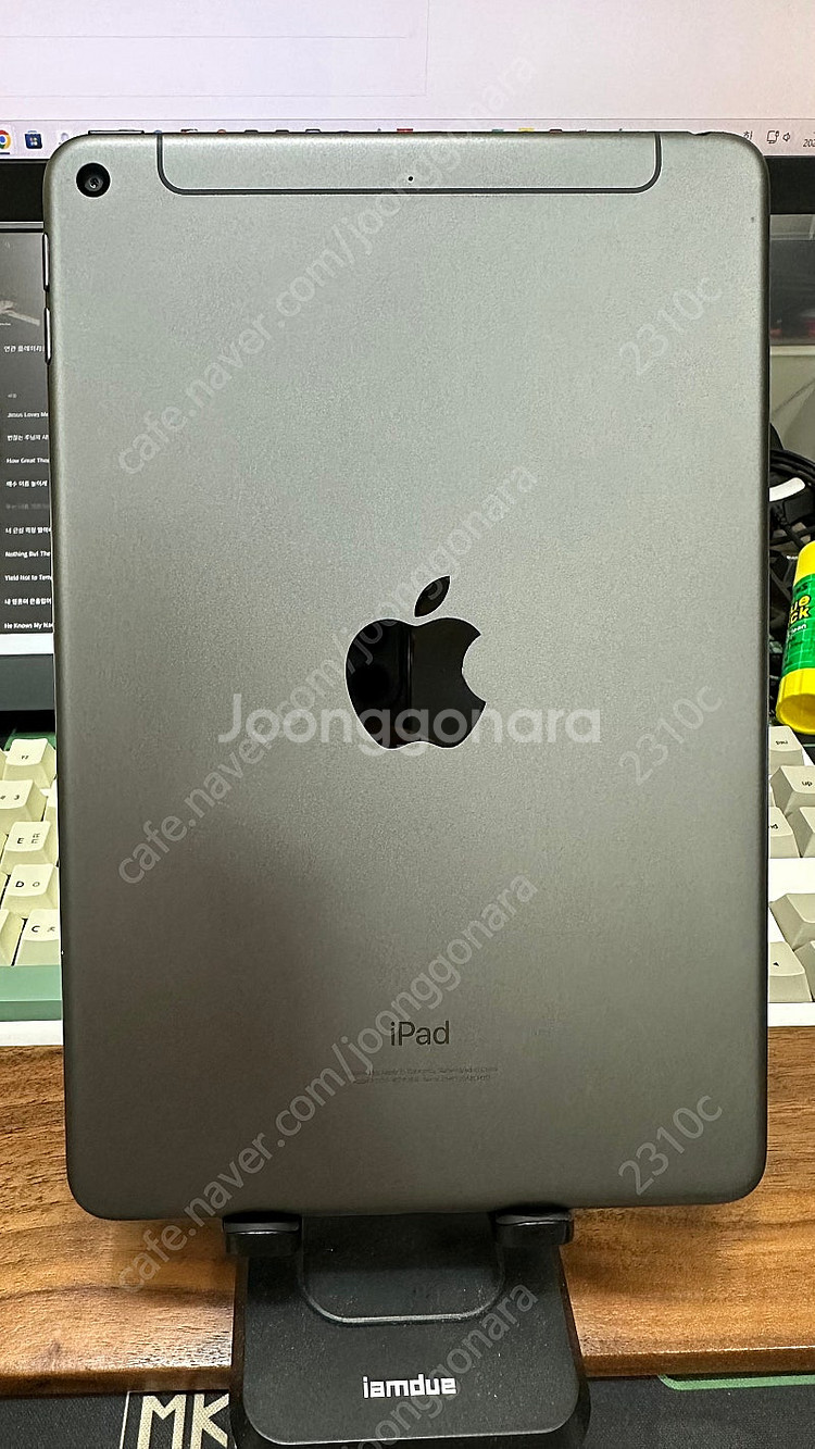 아이패드 미니5 셀룰러 256GB 스그(파손)--1