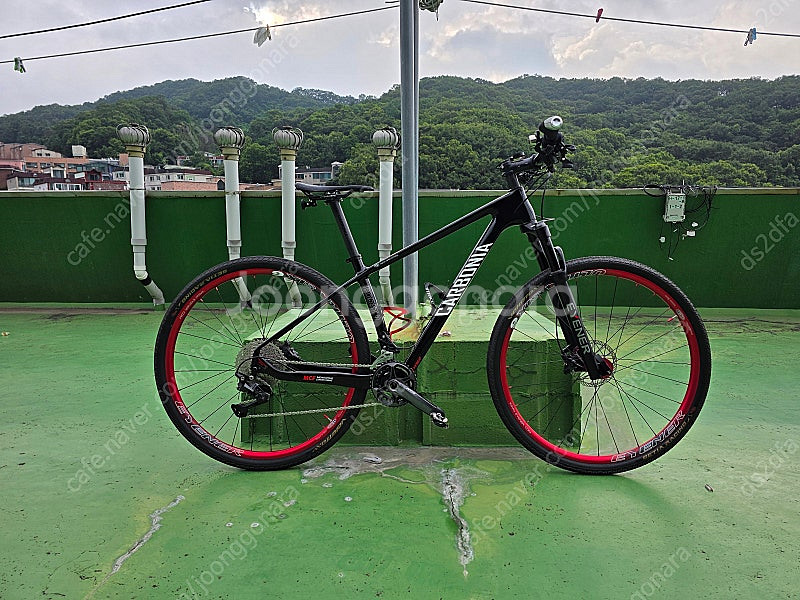 아이너 카보니아 MTB 29인치 (풀카본)--1