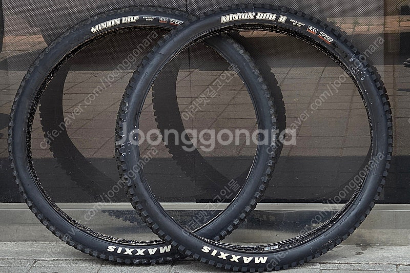 맥시스 미니온 DHF DHR2 29 x 2.4WT EX...--0
