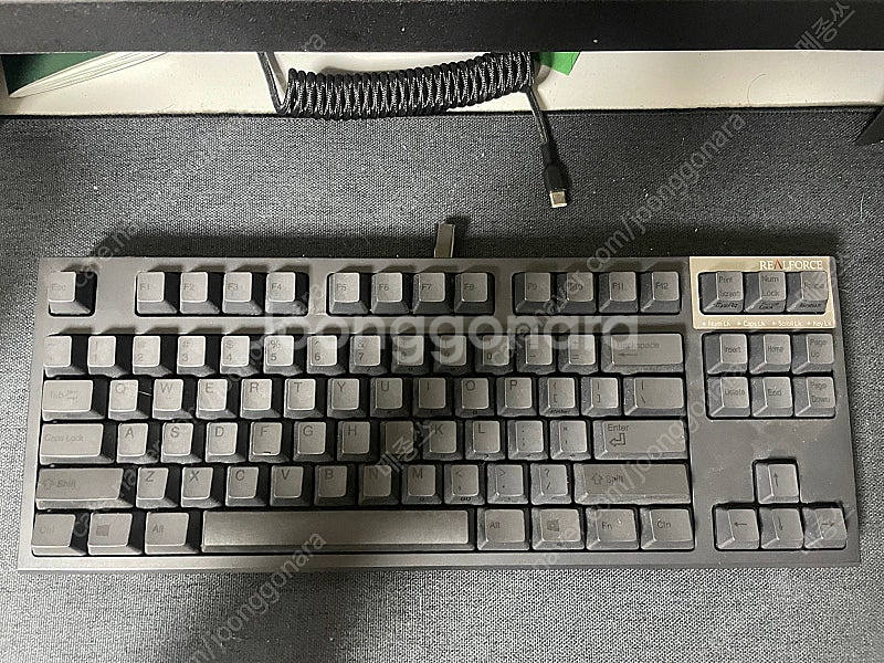 리얼포스 R2TL 55g 균등 C타입 개조--1