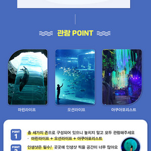 [여수] 아쿠아플라넷 입장권 2인 5만원에 일괄 판매