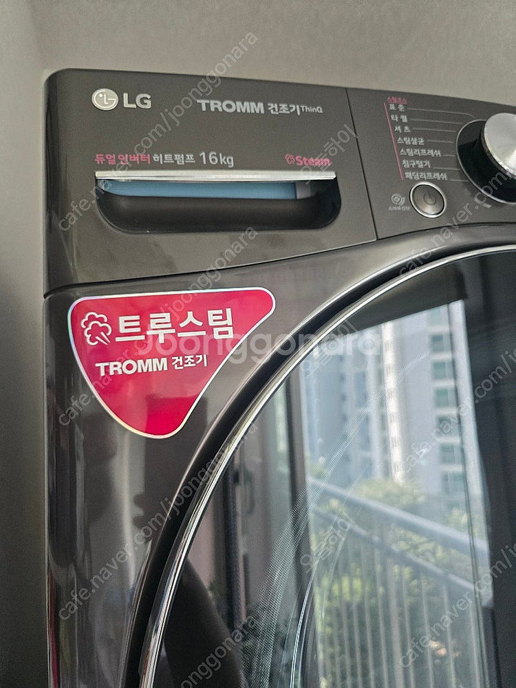 LG 트롬 16Kg건조기(트루스팀) 블랙--1