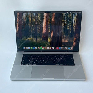 애플 맥북프로16 M1프로 10코어 16코어 16GB SSD 1TB