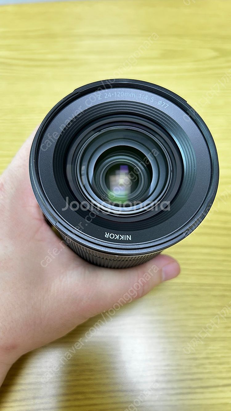 니콘 zf / z 24-120mm f4 / z 50mm...--8