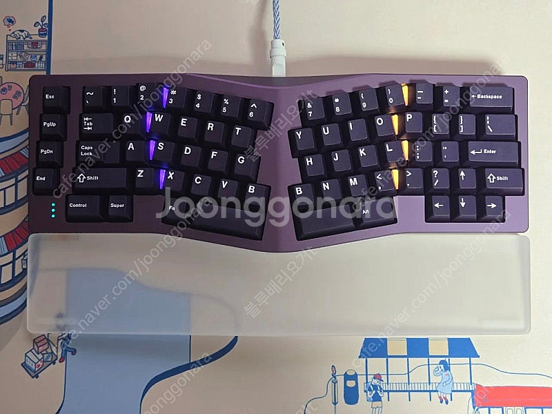 Neo Ergo 네오 어고 커스텀 키보드--0