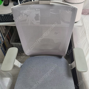 시디즈 T500HLDA 화이트쉘 메쉬의자