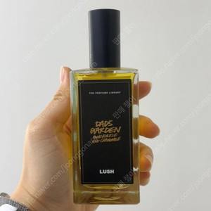 러쉬 향수 대드스가든